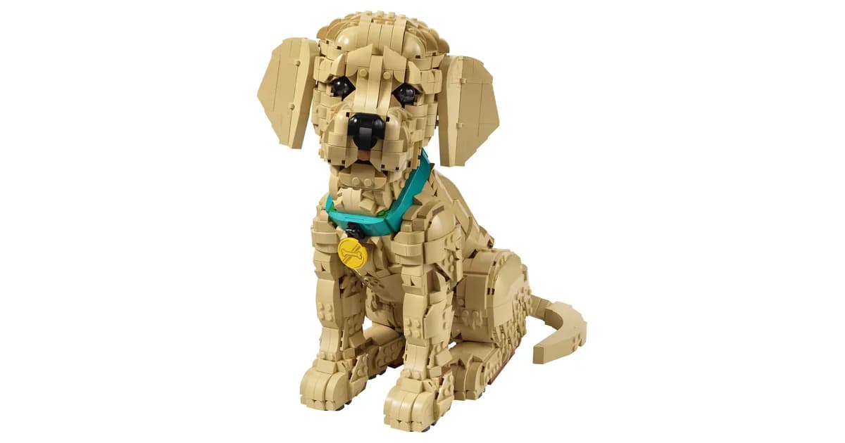 LEGO Icons Golden Retriever Puppy 11384, a tan brick-built puppy sitting with a teal collar and a gold tag