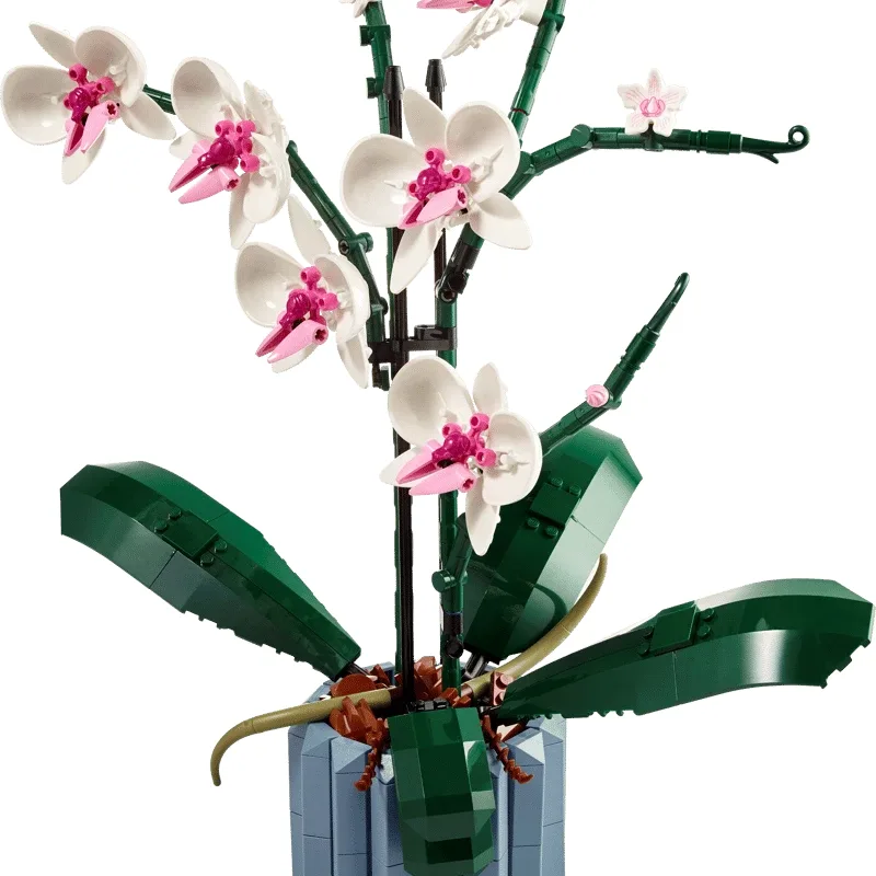 LEGO Botanicals Orchid 10311: white and pink orchid flowers on dark stems above broad green leaves in a blue-grey pot