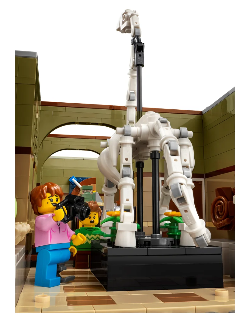 A close-up of the brachiosaurus skeleton inside the LEGO Natural History Museum 10326 with a minifigure taking a photo of it